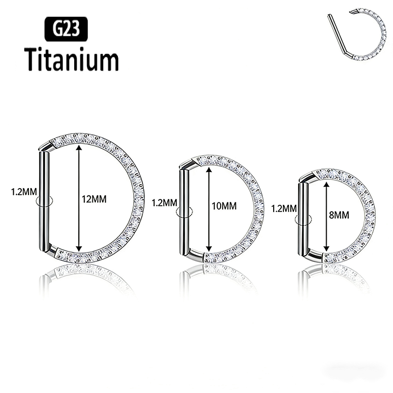 G23 Titanium Hinged Segment No - مراجعة Rook Curved Barbell وسعره