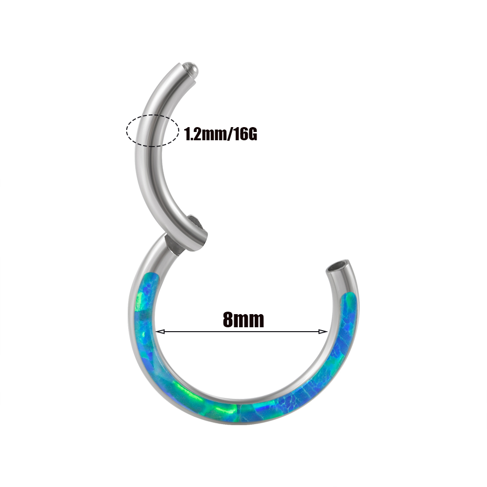 1PC Surgical Steel Opal Hinged - مراجعة Body Jewelry Quality وسعره
