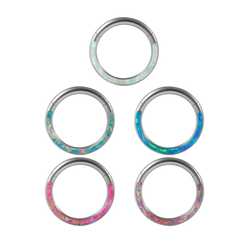 1PC Surgical Steel Opal Hinged - مراجعة Body Jewelry Quality وسعره